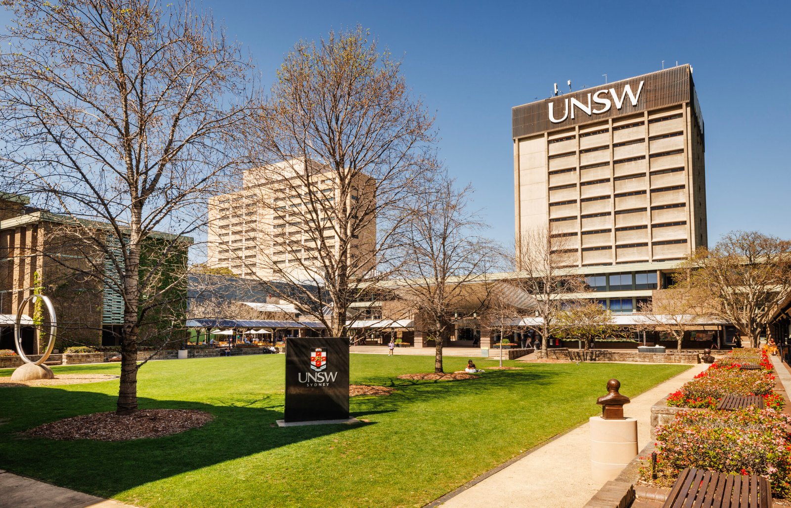 Students relaxing on Library lawn at Kensington UNSW.
